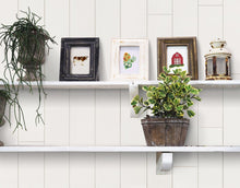 Load image into Gallery viewer, Alabaster Originals Hardwood Plank - Wallplanks