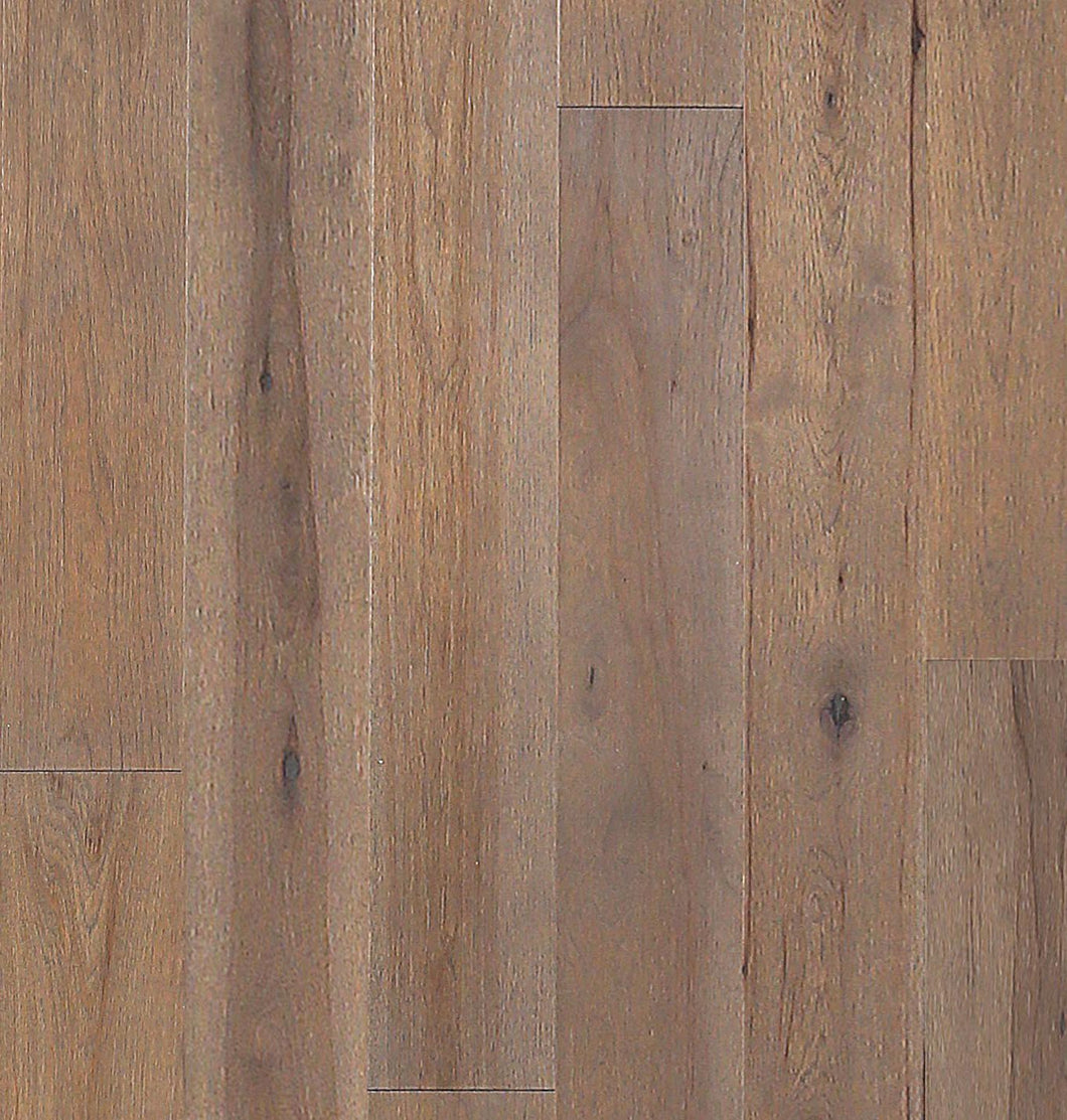 Choice Collection: Smoke Hickory